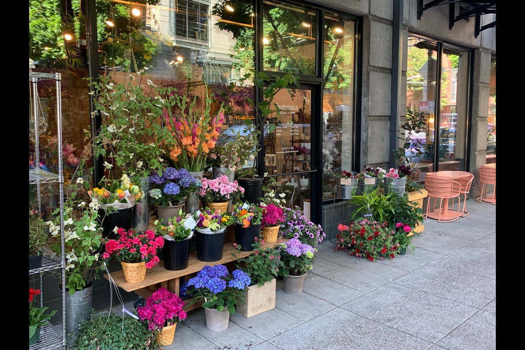 Flower Shops